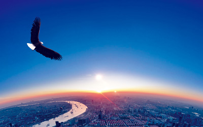 国产偷人妻精品一区二区在线