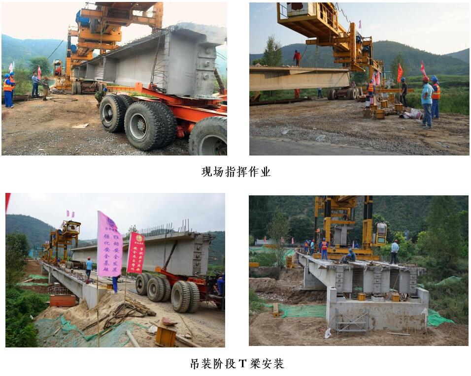 1536146019110417.jpg 15.jpg